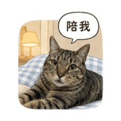 屁貓日常｜麒麟尾的可愛暴擊