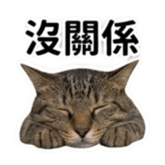屁貓駕到part 2 !