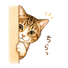 Everyday Calico Cat (AI)