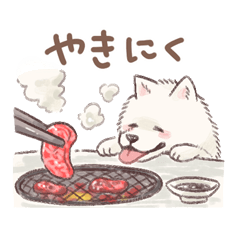 Samoyed-san Gourmand