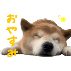 m.m_20260430233205