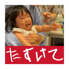 shohei_20260502210004