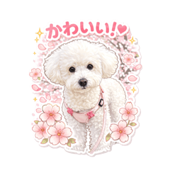 MARI_20260502205228