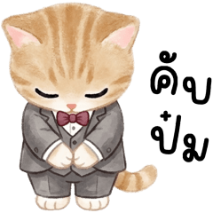 LEO CUTIE KITTEN