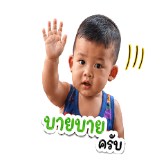 SUBPAROSE_20260428102939