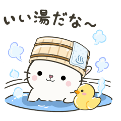 SUKIBOUSHI NEKO