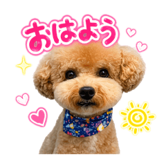 anexoxo_20260501011521