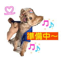 chiromy202604