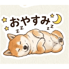 minamotch_20260501015016