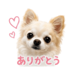 Atsuki_20260502210234