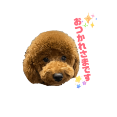 yuzu_yama_20260502210510
