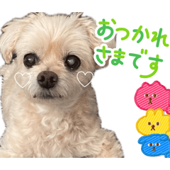 Nakata_20260502211404