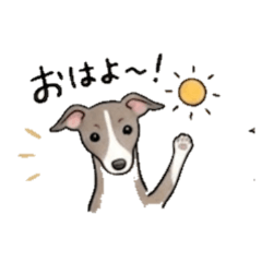 Italian Greyhound Daily Chat Stamp
