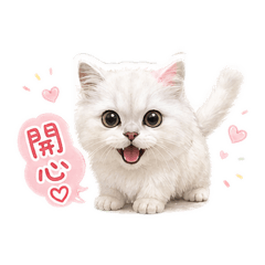 我是劉波比