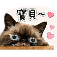 我是阿囧