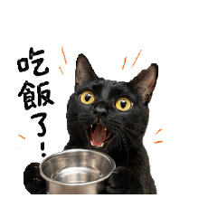 黑糖與安吉