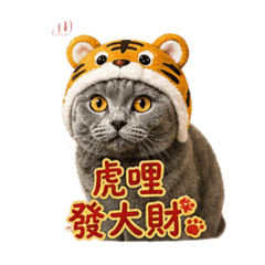 鄭點點生活日常