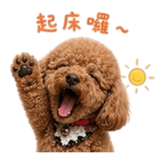 賴林的日常