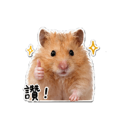 一隻肥拿鐵
