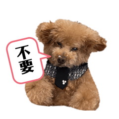 可愛陳弟弟