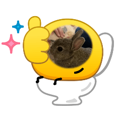 8377393736381877怒氣吃西餐