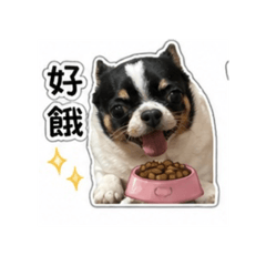 Get rich and cute