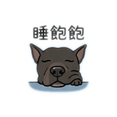 天使妞寶