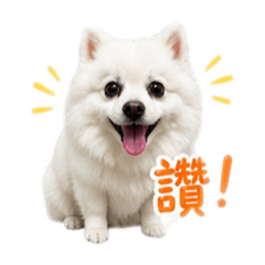 招弟小姐