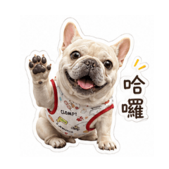 錢錢money2.0