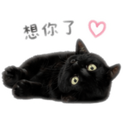 KULO喵