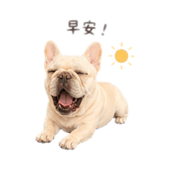 小小小小小荳