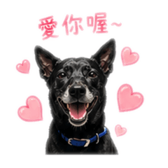 嚕咪日常問候