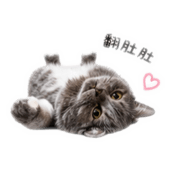 LABU喵