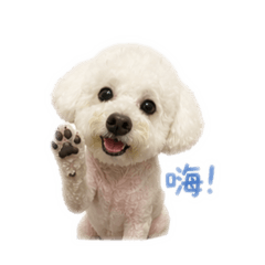 錢錢日常語❤️