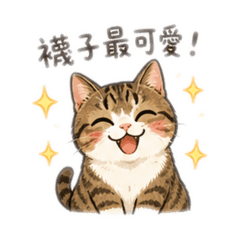 襪襪是隻貓