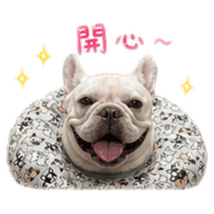法鬥｜饅頭
