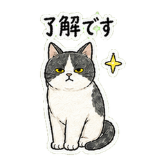 Grumpy-Cute Tuxedo Cat Polite Stickers