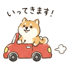 Soft & Fluffy Everyday Dog (Shiba Inu)