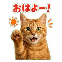 Yuzukoma's Real Cat Daily Greetings