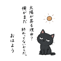 Lazy Gloomy Cat Philosophy Daily