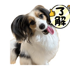 yuchi_20260501052313