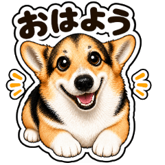 Tri-color Corgi Daily Stickers