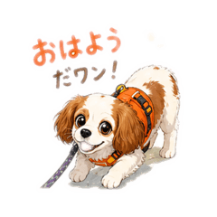 Mikahon_20260501080329