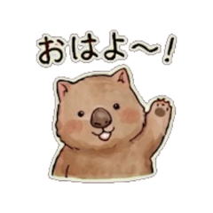 wombat0501