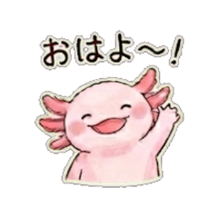 Cozy Axolotl: Warm & Cute Daily Stickers