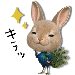 motto's Hybrid Animals