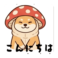 sakizen_20260501092311