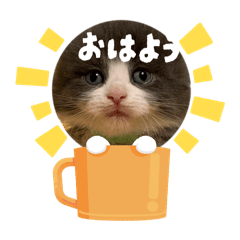 misamisa_20260502212210