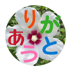 HAPPY_20260501084801