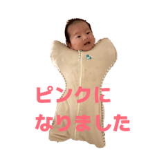 Chikun_20260502212705